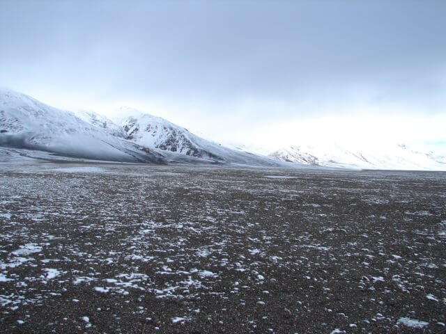 wind swept high plain view with snow covered mountain in the background