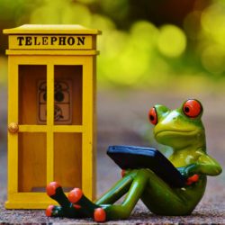 artwork - frog using laptop next to phone booth