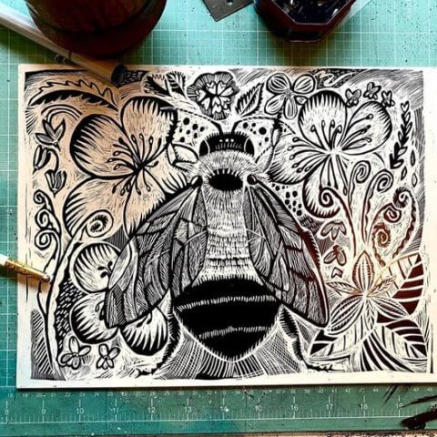 scratchboard illustration of queen rusty-patched bumblebee