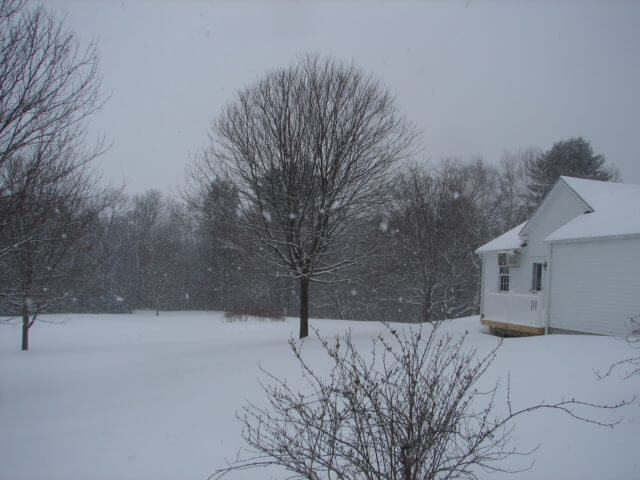 A house and trees on a snowy day.