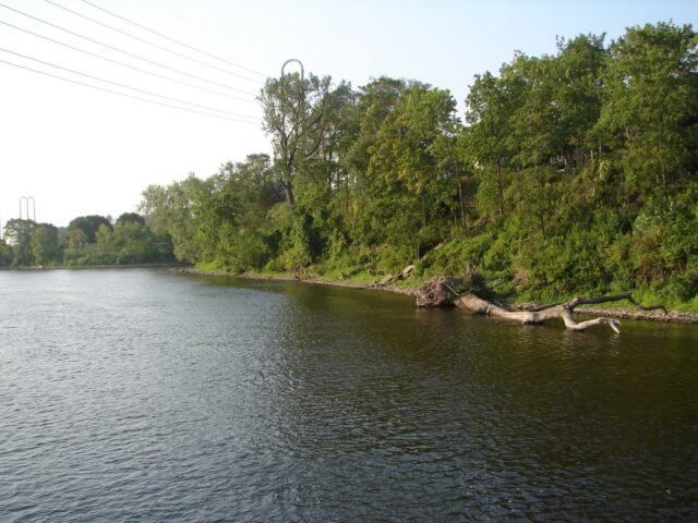 A river flowing alongside a forested bank.